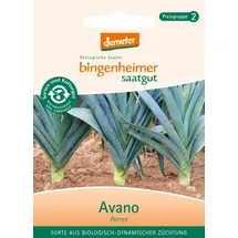 Bingenheimer Saatgut Lauch Avano demeter