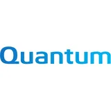 Quantum Quantum
