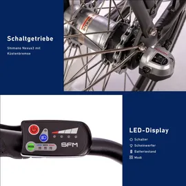 Saxonette Tiefeinsteiger E-Bike, Advanced Plus Elektrofahrrad ,SHIMANO Nabenschaltung, mit integr. Rahmenschloss, Rahmenhöhe 50cm, Schwarz - Schwarz