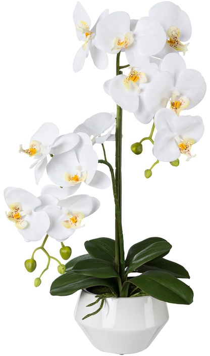 Kunstorchidee Phalaenopsis Im Keramiktopf, 52 Cm (Farbe: Weiss)