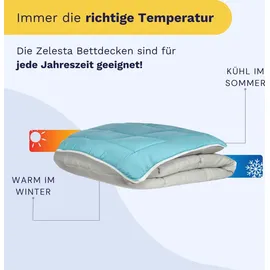 Poyet-Motte Mikrofaser Bettdecke 400g/m2 Grau Stein Grün See