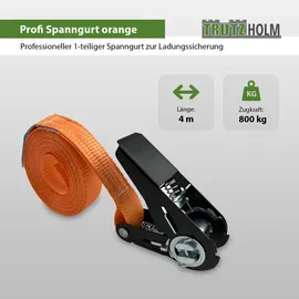 Trutzholm Spanngurt 4 m 0,8 t