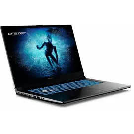 Medion Defender P50 17,3" Intel Core i7-12650H 16 GB RAM 1 TB SSD RTX 4060 Win 11 Home Schwarz