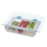 Joseph Joseph Deutschland GmbH Unterregal-Schublade FridgeStore