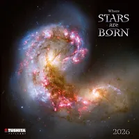 Tushita paperart Where Stars are Born 2026