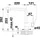 Blanco Linus Niederdruck chrom 514020