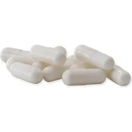 Raab Vitalfood Raab Bio Flohsamenschalen Kapseln 100 St.