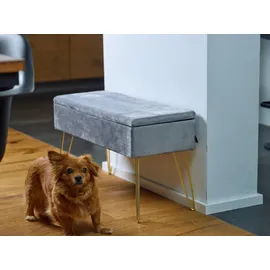 Echtwerk Sitzbank “Scarlett“, Polsterbank mit Samtbezug, Aufbewahrungstruhe rechteckig, Schminkbank mit Stauraum, Aufbewahrungsbank mit Metallbeine, 75 x 30 x 41,5 cm, Polyester-Mischung, Grau