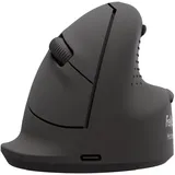 Fellowes Breyta Plus Ergonomische Maus schwarz