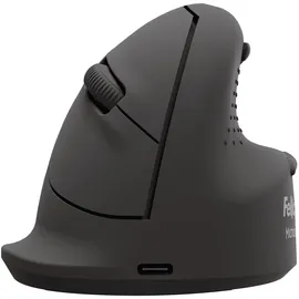Fellowes Breyta Plus Ergonomische Maus schwarz