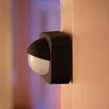 Philips Hue schwarz