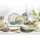 CreaTable Nature Collection Kombiservice 16-tlg. nature