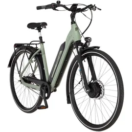 Fischer CITA 2403 28 Zoll RH 43 cm grün