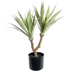 CREATIV green künstliche Pflanze Agave, ca 60cm