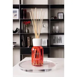 Millefiori Milano Diffuser 250 ml Mela & Cannella