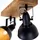 Briloner Deckenstrahler Barnim 2-flg. schwarz-gold Holz
