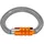 Petzl Karabinerhaken Silber