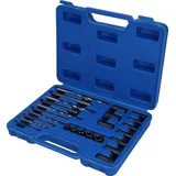BRILLIANT TOOLS Schraubenausdreher-Satz 25-tlg