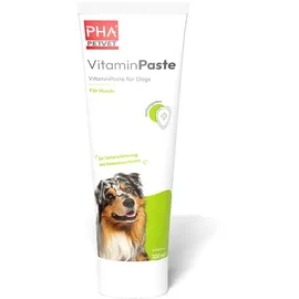 PetVet GmbH PHA Vitaminpaste F.hunde