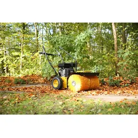 TEXAS Handy Sweep 650TG