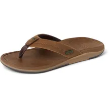 REEF Offshore Bronze 46