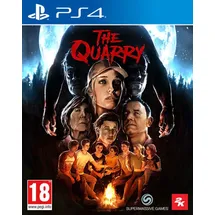 The Outer Worlds (PEGI) (PS4)