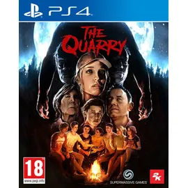 The Outer Worlds (PEGI) (PS4)