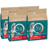 PURINA ONE STERILCAT Trockenfutter Katze mit Rind 4er Pack (4 x 2,8kg)