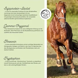 Annimally Muskelpower Pulver 2 kg