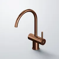 Steinberg Serie 100 Einhebelmischer Brushed Copper