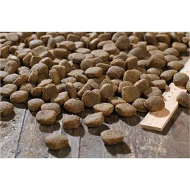 Bewi Dog H-Energy 25 kg