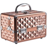 COSTWAY Beauty Case Schminkkoffer Kosmetikkoffer, Schmuckkoffer 23 x 15 x 18cm, Friseurkoffer mit Spiegel, Multikoffer Damen (Gold)