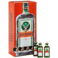 Jägermeister Kräuterlikör 60x0,02l
