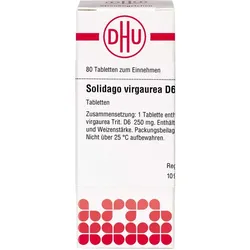 SOLIDAGO VIRGAUREA D 6 Tabletten 80 St.