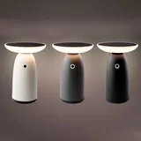 Kaemingk Lampe solar mit Berührungslicht 22cm farblich sortiert. 897850