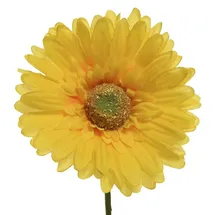 Decoris Gerbera 50cm 6 Stück Gelb