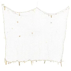 Deko Fischernetz mit Muscheln - maritime Dekoration - 100 x 140cm - natur