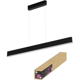 Philips Hue White & Color Ambiance Ensis schwarz