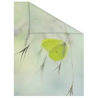 Lichtblick Fensterfolie Schmetterling Grün 1 St., blickdicht, strukturiertKlebepunkte, selbstklebend, Sichtschutz grün Fensterfolie, 11105240-3