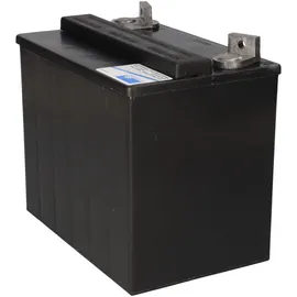 Sonnenschein / Exide Akku kompatibel Golden Technologies Companion I + II 12V