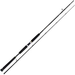 Shimano Beastmaster AX Pilk 2,40m 150-300g 2pc Pilkrute
