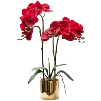 CXGS Künstliche Orchideen-Blumenpflanzen, fühlen sich echt an, künstliche Orchideen in Keramikvase, realistische rote Phalaenopsis, Orchidee, lebendige Pflanzen für Zuhause, Innendekoration