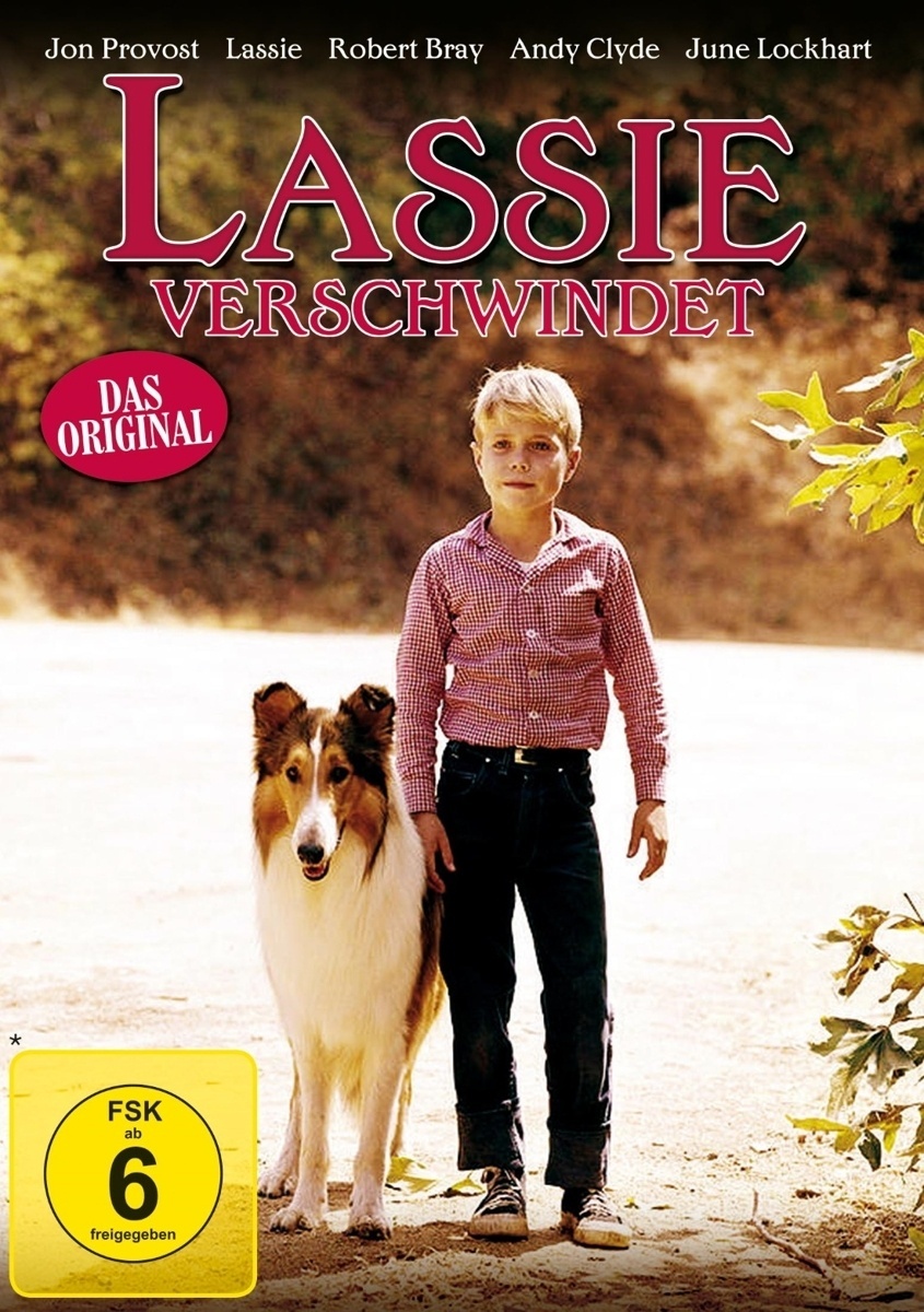Lassie Verschwindet (DVD)
