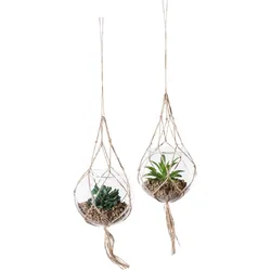 Kunstpflanze CREATIV GREEN "Sukkulenten", grün, H:11cm Ø:12cm, Kunststoff, Kunstpflanzen, mit Makramee-Aufhängung
