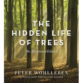 Ingram Publisher Services Hidden Life of Trees: The Illustrated Edition