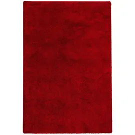 Snapstyle Hochflor Shaggy Teppich Palace Weinrot 200x300cm
