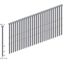 Prebena Coilnägel, 4500 Stk. CNW28/80BKRI