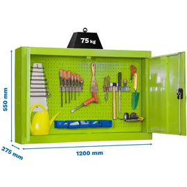Proregal Werkzeugschrank hängend AMEGO | HxBxT 55x120x27,5cm | Metall | Abschließbar | Grün | Werstattschrank Hängeschrank