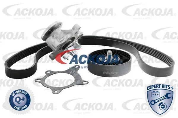 ACKOJA Keilrippenriemensatz a520207 für Ford Volvo Fiat KIA HYUNDAI LEXUS