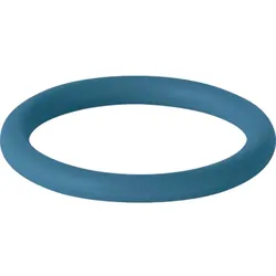 Geberit Dichtring Mapress d= 18mm, LABS-frei, FKM, blau 90883